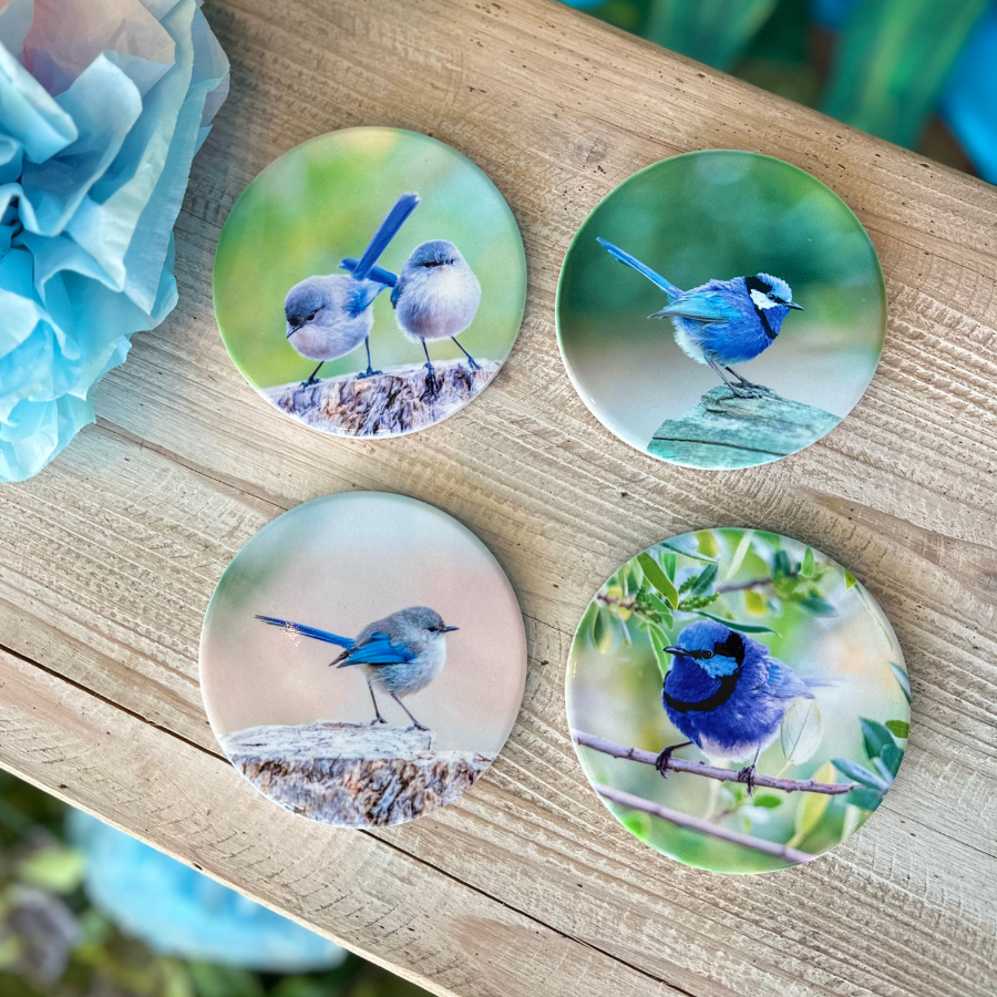 WREN COASTERS SET OF FOUR