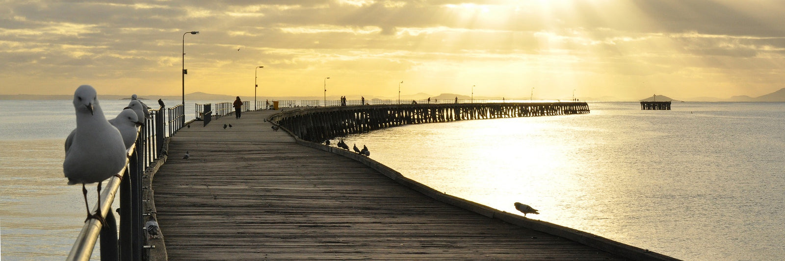 Tanker Jetty | Steven Seagull | Esperance