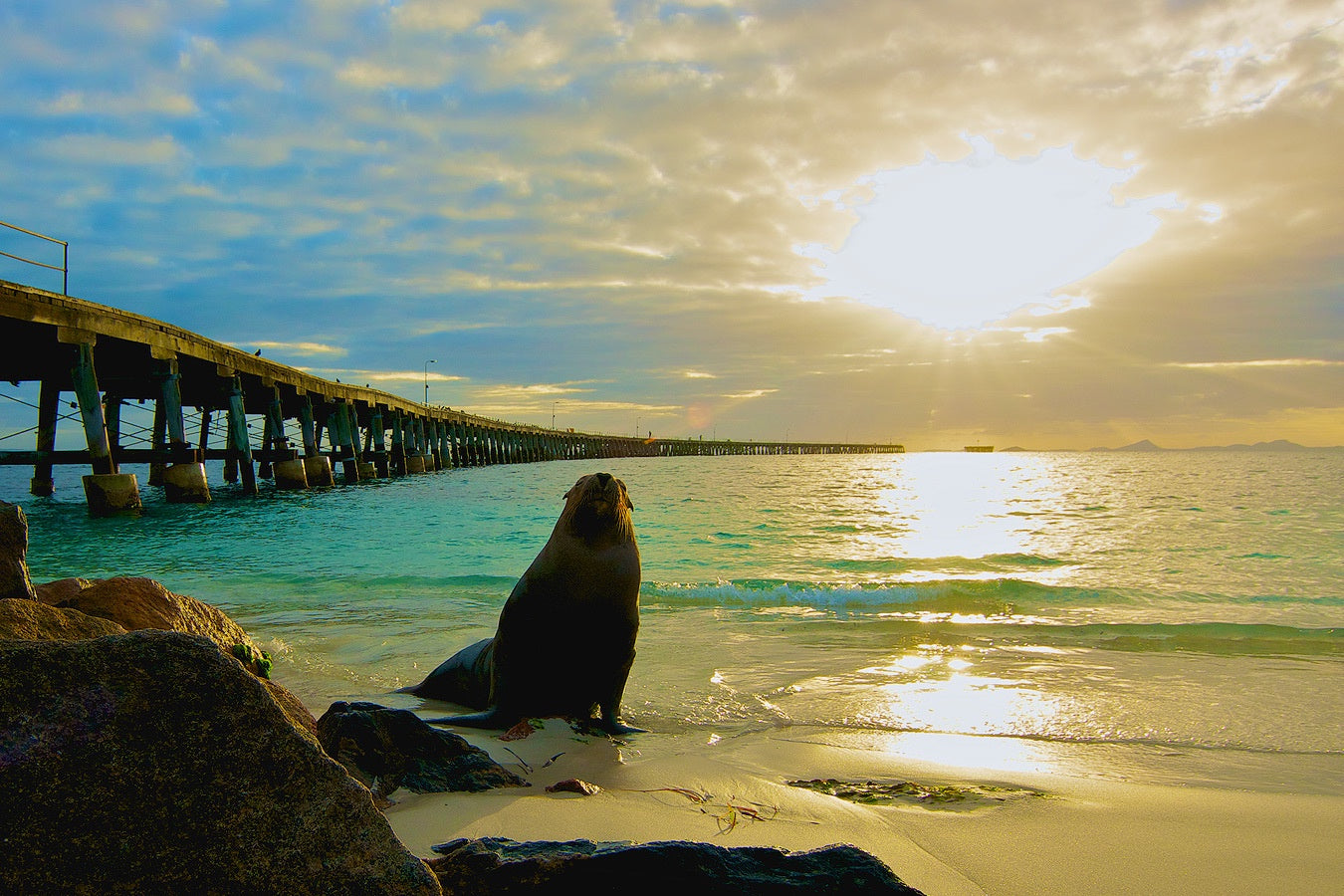 Tanker Jetty | Good Morning Sammy | Esperance