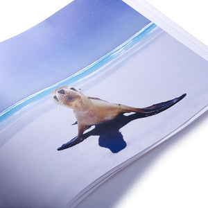 Esperance landscape photography book showing seal on a beach by photographer Dan Paris 