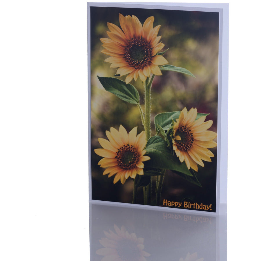 Blank Card With Envelope | Happy Birthday Sunflower