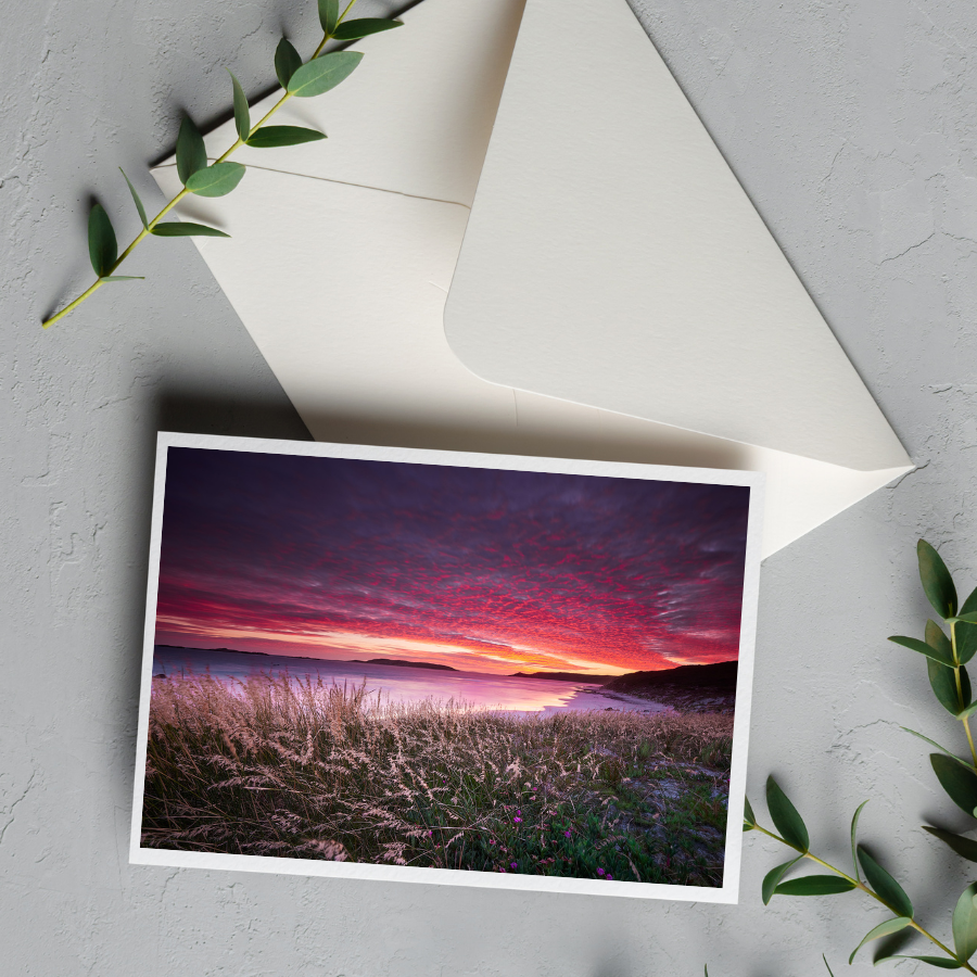 Card with Envelope | Dolphin Cove Purple