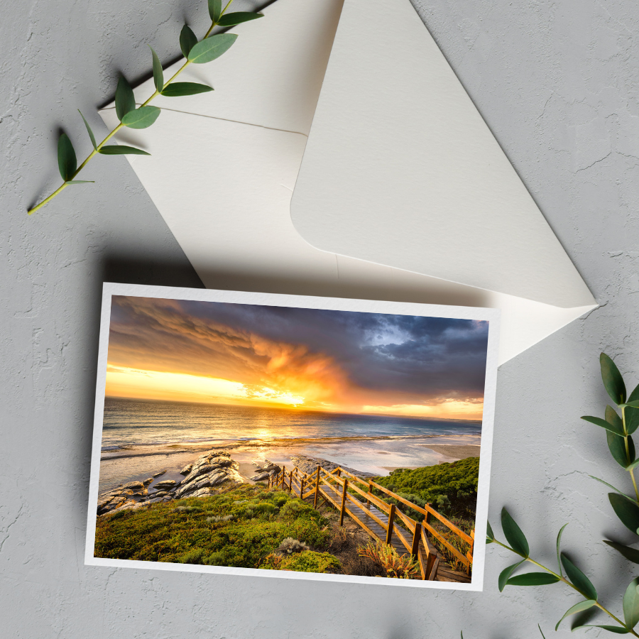 Card with Envelope | Eleven Mile Nature's Cinema