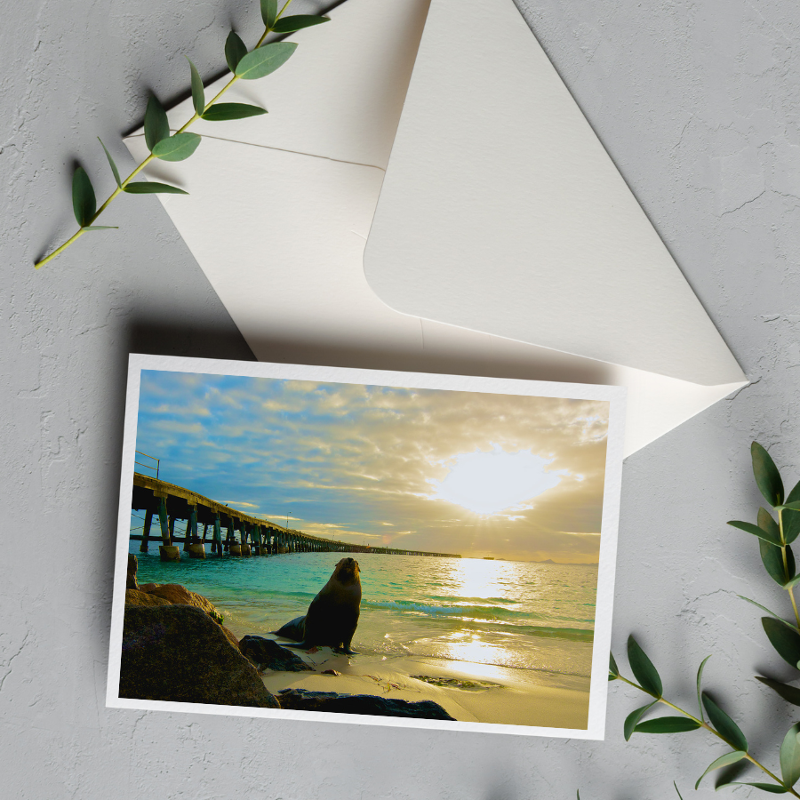 Card With Envelope | Sammy at Tanker Jetty