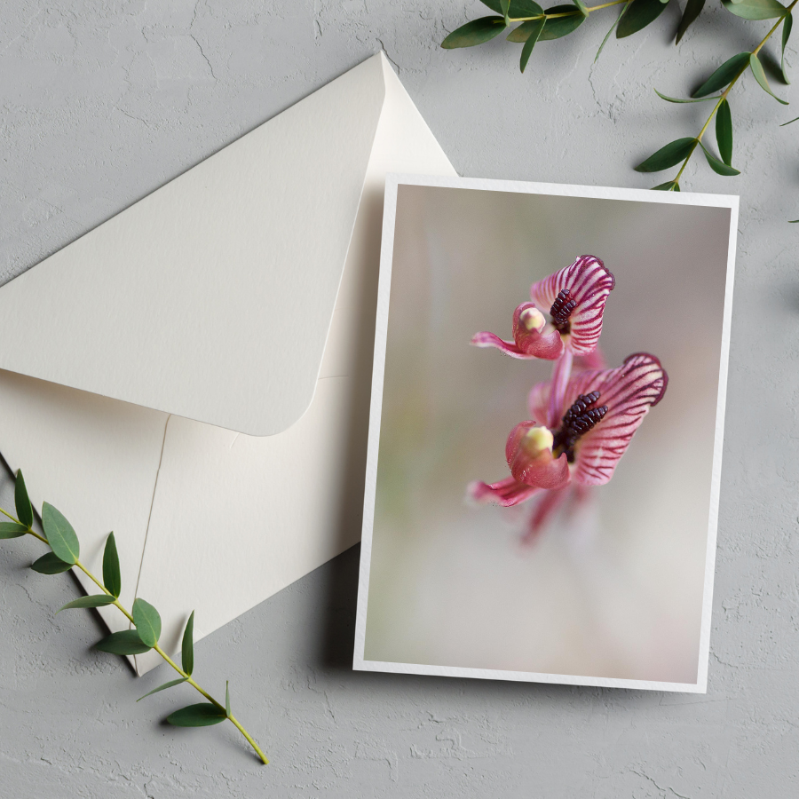 Card with envelope | Zebra Orchids
